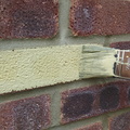 003-limelike.jpg