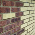 004-limelike.jpg