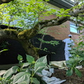 dyebrick-3.jpg