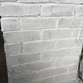 limelike-close-up.jpg