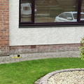 002 before close-up.jpg